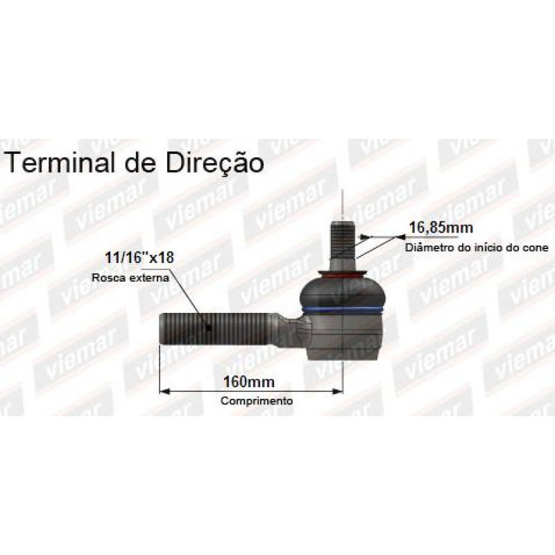Terminal Direcao Dir