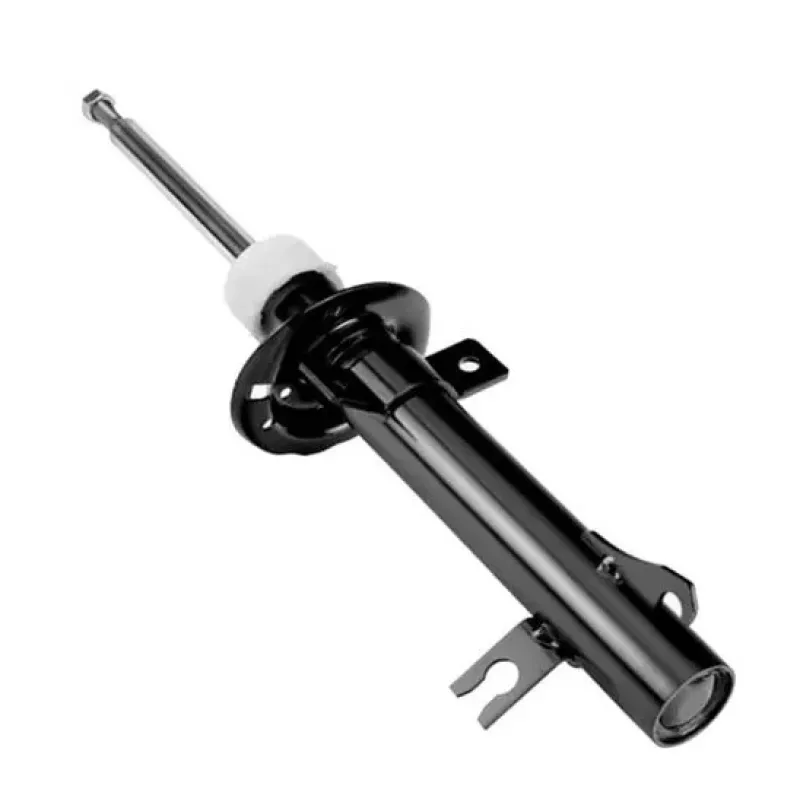 Amortecedor Dianteiro Trw Jgm4526s Ford Fiesta