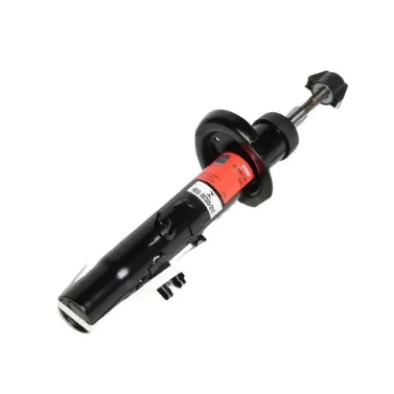 Amortecedor Dianteiro Trw Jgm4975sl Citroen C3 | Gm Sonoma